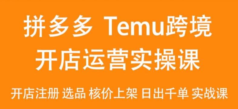 2024Temu最新玩法，Temu跨境开店运营实操课，开店注册/选品/核价上架/日出千单实战课-有道资源网