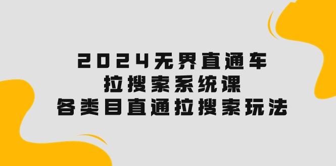 2024无界直通车·拉搜索系统课：各类目直通车 拉搜索玩法！-有道资源网