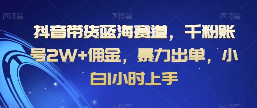 抖音带货蓝海赛道，千粉账号2W+佣金，暴力出单，小白1小时上手【揭秘】-有道资源网