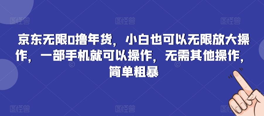 京东无限0撸年货，小白也可以无限放大操作，一部手机就可以操作，无需其他操作，简单粗暴-有道资源网