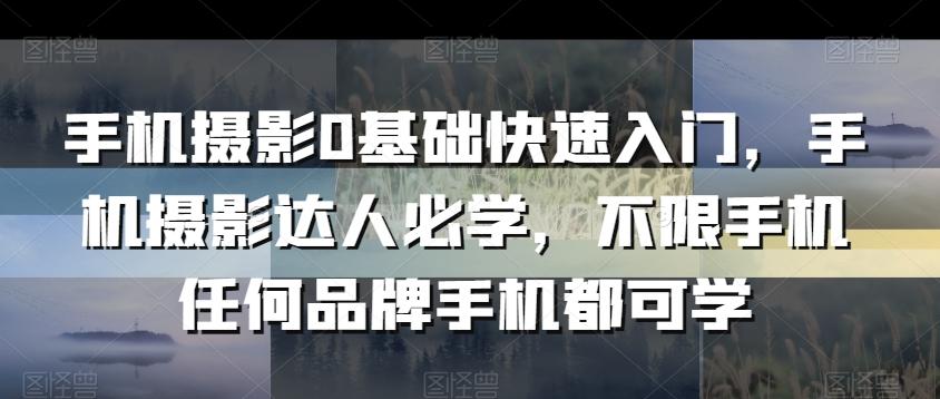 手机摄影0基础快速入门，手机摄影达人必学，不限手机任何品牌手机都可学-有道资源网