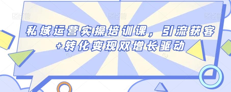 私域运营实操培训课，引流获客+转化变现双增长驱动-有道资源网