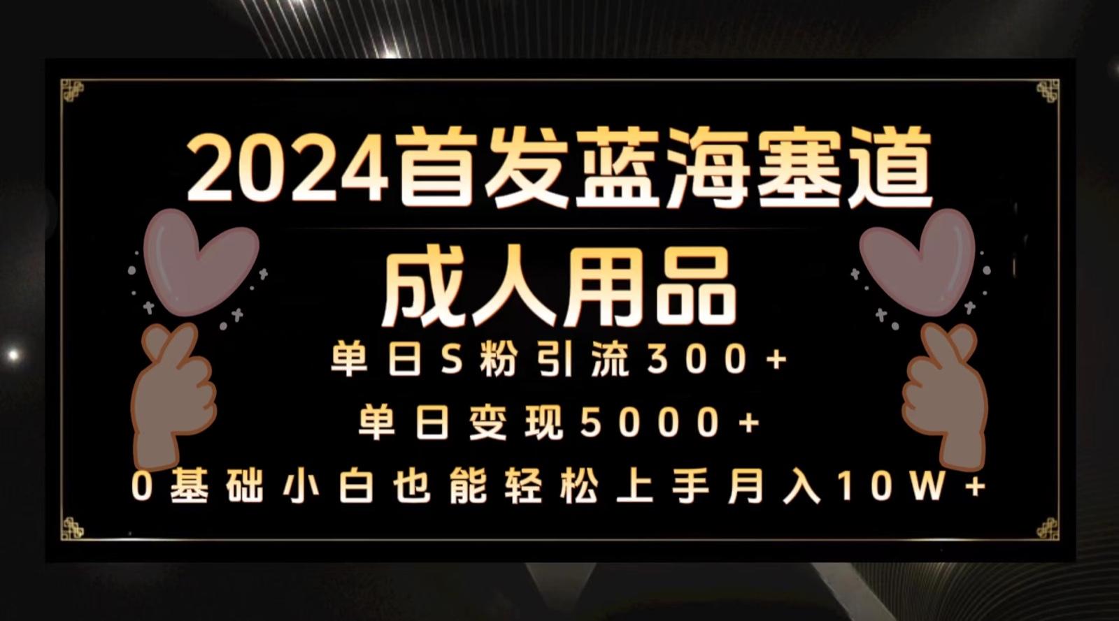 2024首发蓝海塞道成人用品，月入10W+保姆教程-有道资源网