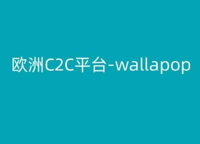 欧洲C2C平台-wallapop-kim跨境电商教程-有道资源网