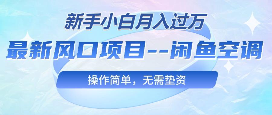 最新风口项目—闲鱼空调，新手小白月入过万，操作简单，无需垫资-有道资源网