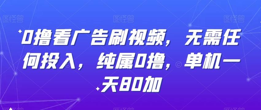 0撸看广告刷视频，无需任何投入，纯属0撸，单机一天80加-有道资源网