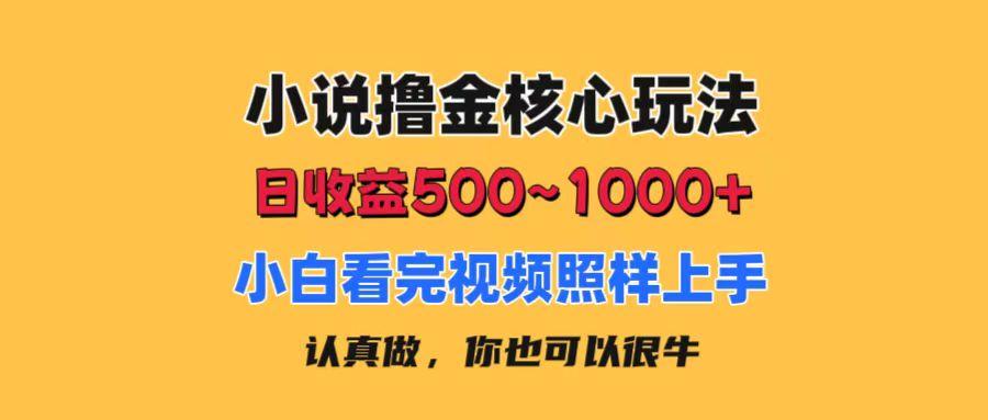 小说撸金核心玩法，日收益500-1000+，小白看完照样上手，0成本有手就行-有道资源网