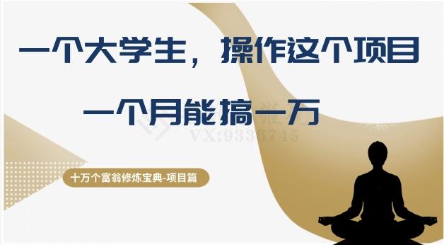 十万个富翁修炼宝典之4.一个大学生操作这个项目，一个月能搞一万-有道资源网