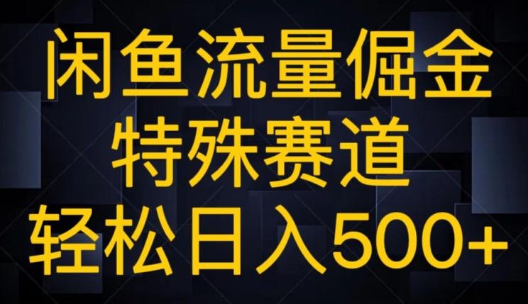 闲鱼流量倔金，特殊赛道，轻松日入500+-有道资源网