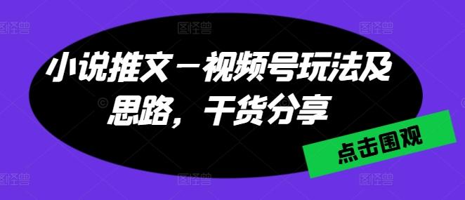 小说推文—视频号玩法及思路，干货分享-有道资源网