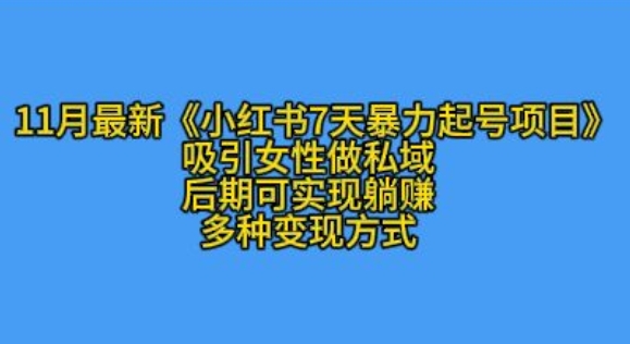 K总部落11月最新小红书7天暴力起号项目，吸引女性做私域【揭秘】-有道资源网