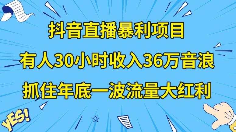 抖音直播暴利项目，有人30小时收入36万音浪，公司宣传片年会视频制作，抓住年底一波流量大红利【揭秘】-有道资源网