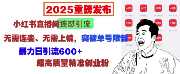 2025重磅发布：小红书直播间连怼引流，无需连麦、无需上镜，突破单号限制，暴力日引流600+-有道资源网