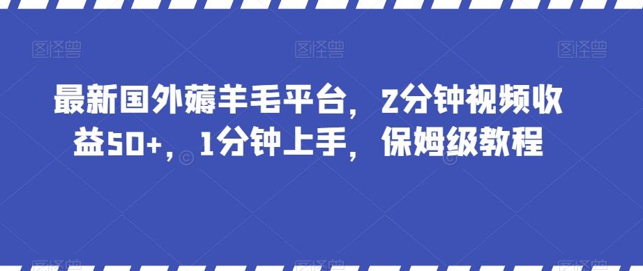 最新国外薅羊毛平台，2分钟视频收益50+，1分钟上手，保姆级教程【揭秘】-有道资源网