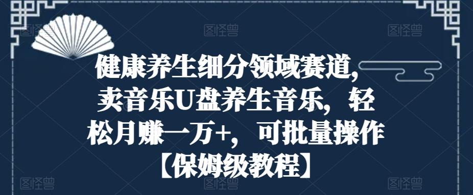 健康养生细分领域赛道，卖音乐U盘养生音乐，轻松月赚一万+，可批量操作【保姆级教程】-有道资源网