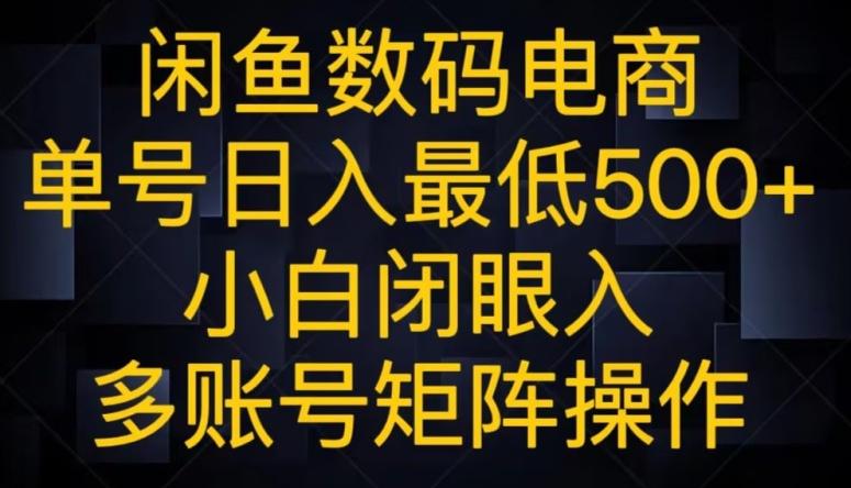 闲鱼数码电商，单号日入最低500+，小白闭眼入，多账号矩阵操作-有道资源网