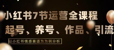 7节小红书运营实战全教程，结合最新情感赛道，打通小红书运营全流程【揭秘】-有道资源网