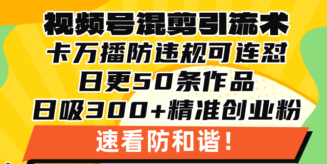 视频号混剪引流技术，500万播放引流17000创业粉，操作简单当天学会-有道资源网