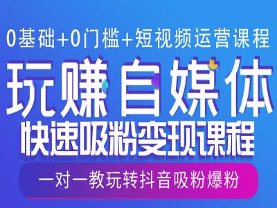 0基础+0门槛+短视频运营课程，玩赚自媒体快速吸粉变现课程，一对一教玩转抖音吸粉爆粉-有道资源网