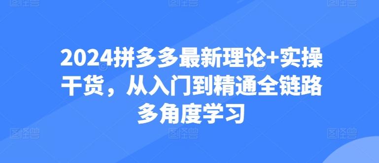 2024拼多多最新理论+实操干货，从入门到精通全链路多角度学习-有道资源网