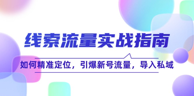 线 索 流 量-实战指南：如何精准定位，引爆新号流量，导入私域-有道资源网