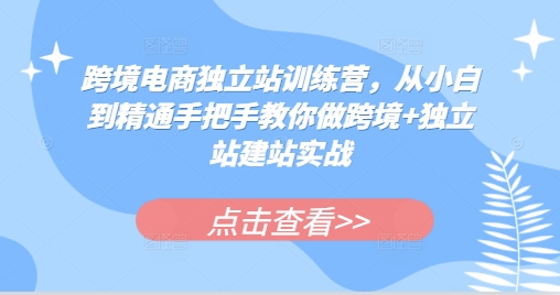 跨境电商独立站训练营，从小白到精通手把手教你做跨境+独立站建站实战-有道资源网