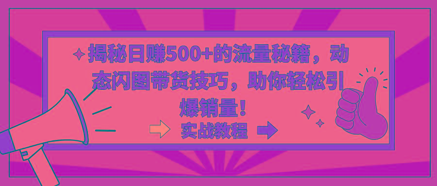 揭秘日赚500+的流量秘籍，动态闪图带货技巧，助你轻松引爆销量！-有道资源网