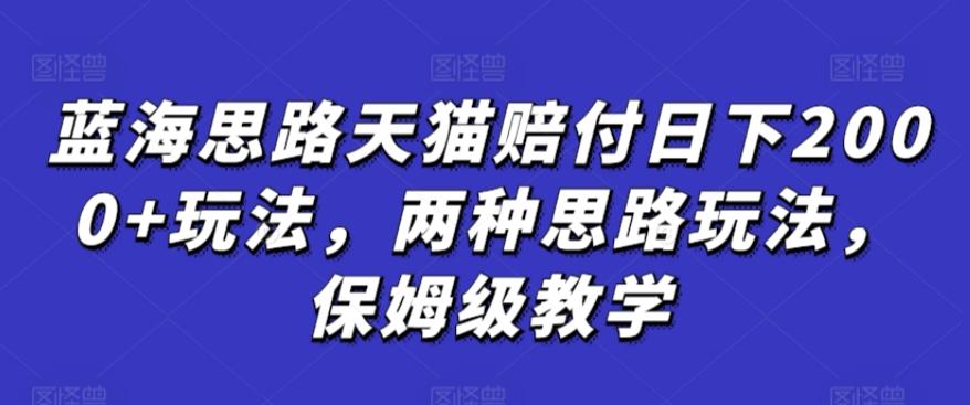 蓝海思路天猫赔付日下2000+玩法，两种思路玩法，保姆级教学【仅揭秘】-有道资源网