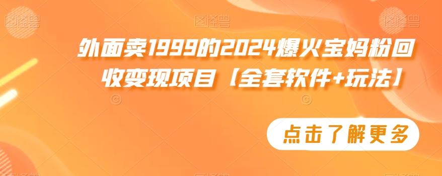 外面卖1999的2024爆火宝妈粉回收变现项目【全套软件+玩法】【揭秘】-有道资源网