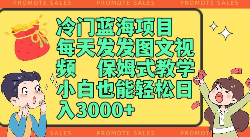 冷门蓝海项目，每天发发图文视频，保姆式教学，小白也能轻松日入3000+-有道资源网