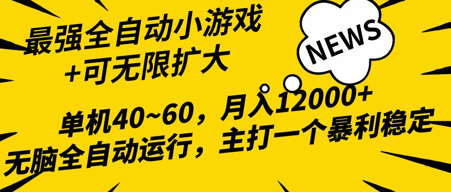 (10046期)2024最新全网独家小游戏全自动，单机40~60,稳定躺赚，小白都能月入过万-有道资源网