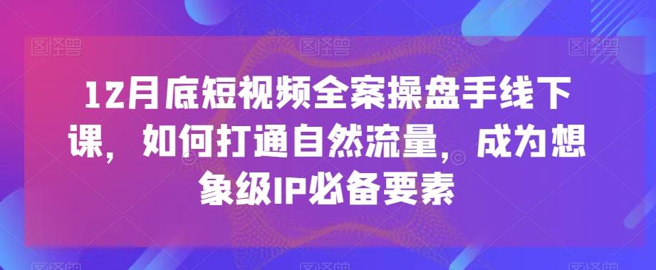 12月底短视频全案操盘手线下课，如何打通自然流量，成为想象级IP必备要素-有道资源网