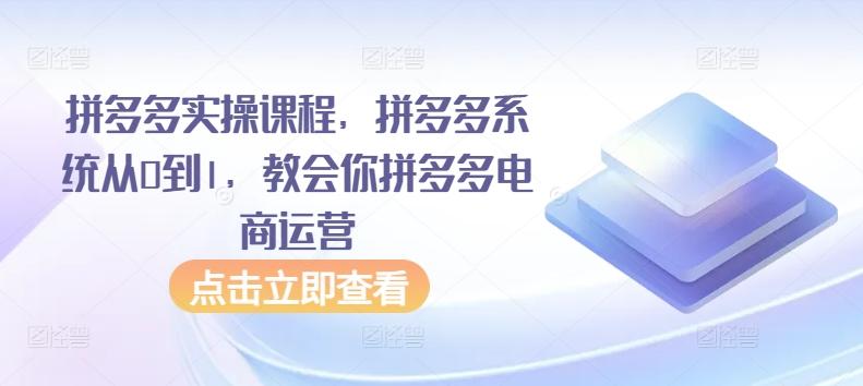 拼多多实操课程，拼多多系统从0到1，教会你拼多多电商运营-有道资源网