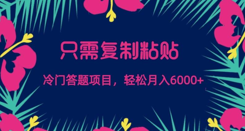 只需复制粘贴，冷门答题项目，轻松月入6000-有道资源网