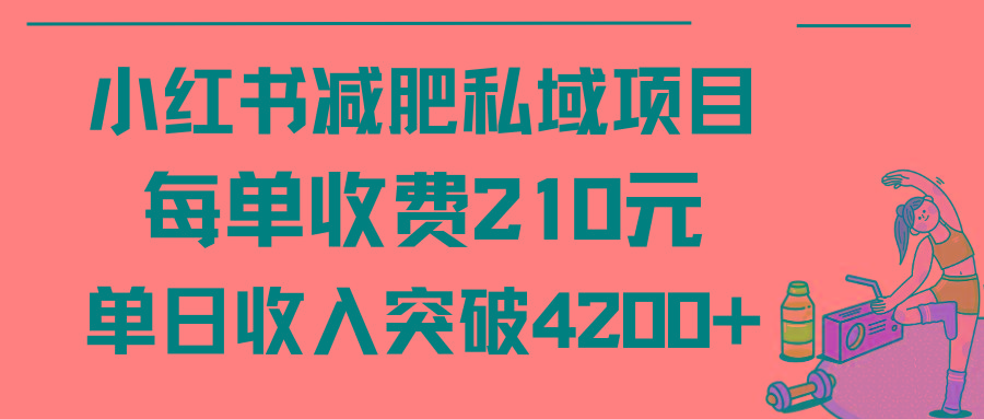 (9466期)小红书减肥私域项目每单收费210元单日成交20单，最高日入4200+-有道资源网