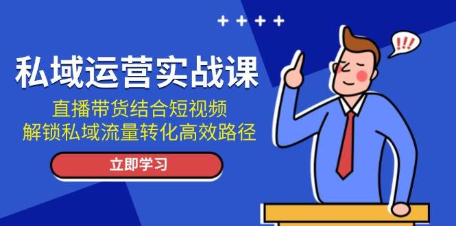 私域运营实战课：直播带货结合短视频，解锁私域流量转化高效路径-有道资源网