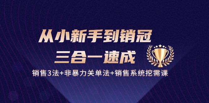 从小新手到销冠 三合一速成：销售3法+非暴力关单法+销售系统挖需课 (27节-有道资源网