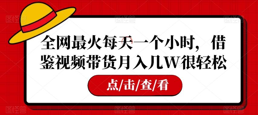 全网最火每天一个小时，借鉴视频带货月入几W很轻松【揭秘】-有道资源网