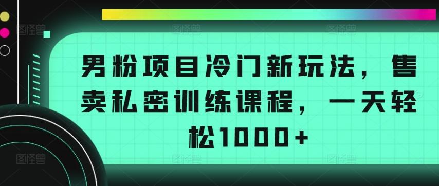 男粉项目冷门新玩法，售卖私密训练课程，一天轻松1000+【揭秘】-有道资源网