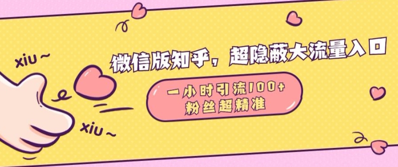 微信版知乎，超隐蔽流量入口1小时引流100人，粉丝质量超高【揭秘】-有道资源网