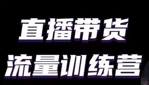 直播带货流量训练营，小白主播必学直播课-有道资源网