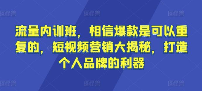 流量内训班，相信爆款是可以重复的，短视频营销大揭秘，打造个人品牌的利器-有道资源网