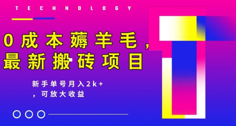 0成本薅羊毛，最新搬砖项目，新手单号月入2k+，可放大操作-有道资源网