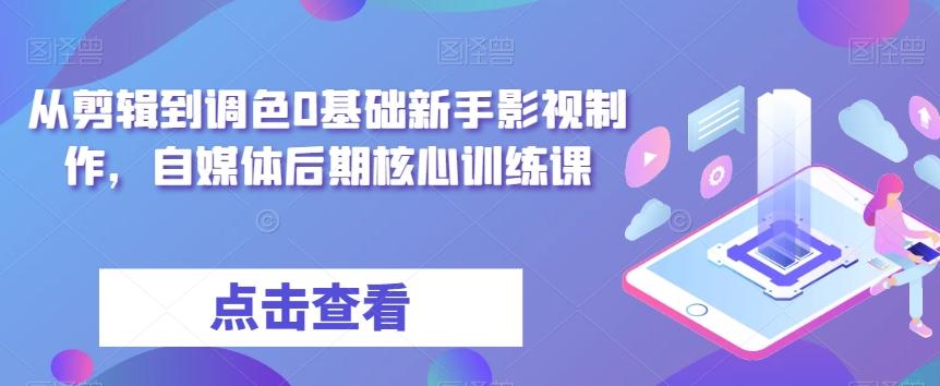 从剪辑到调色0基础新手影视制作，自媒体后期核心训练课-有道资源网