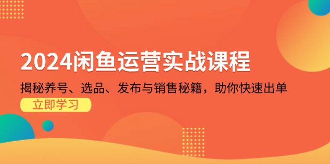 2024闲鱼运营实战课程：揭秘养号、选品、发布与销售秘籍，助你快速出单-有道资源网