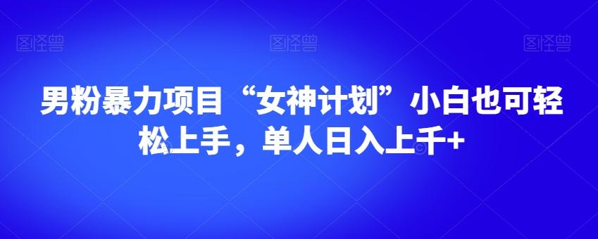 男粉暴力项目“女神计划”小白也可轻松上手，单人日入上千+【揭秘】-有道资源网