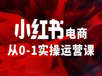 小红书电商从0-1实操运营课，让你从小白到精英-有道资源网