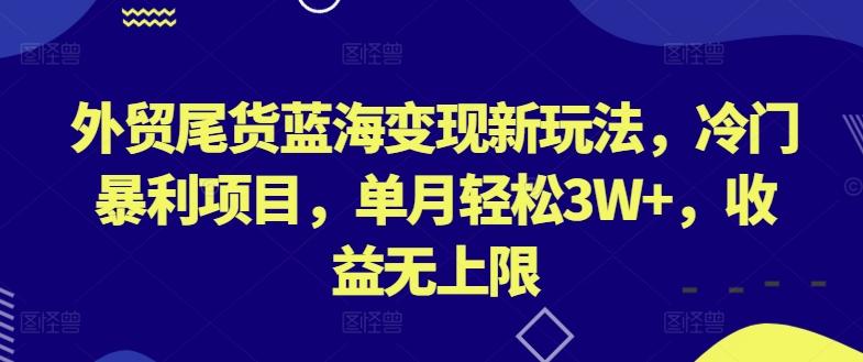 外贸尾货蓝海变现新玩法，冷门暴利项目，单月轻松3W+，收益无上限【揭秘】-有道资源网