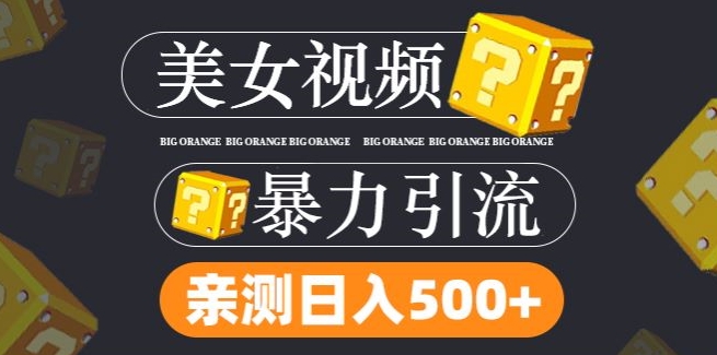 搬运tk美女视频全网分发，日引s粉300+，轻松变现，不限流量不封号【揭秘】-有道资源网