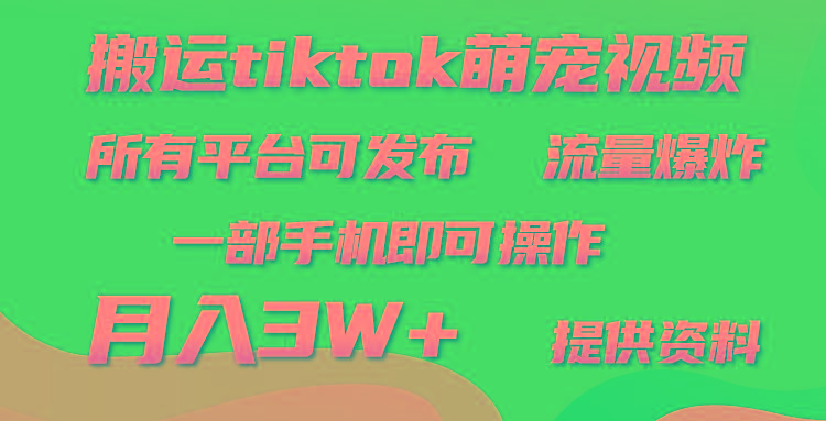 (9618期)搬运Tiktok萌宠类视频，一部手机即可。所有短视频平台均可操作，月入3W+-有道资源网